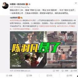 杨展最新爆料视频播放,事件背后惊人真相