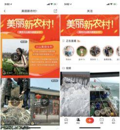 家园最新爆料视频大全免费观看,免费观看，揭秘未知世界